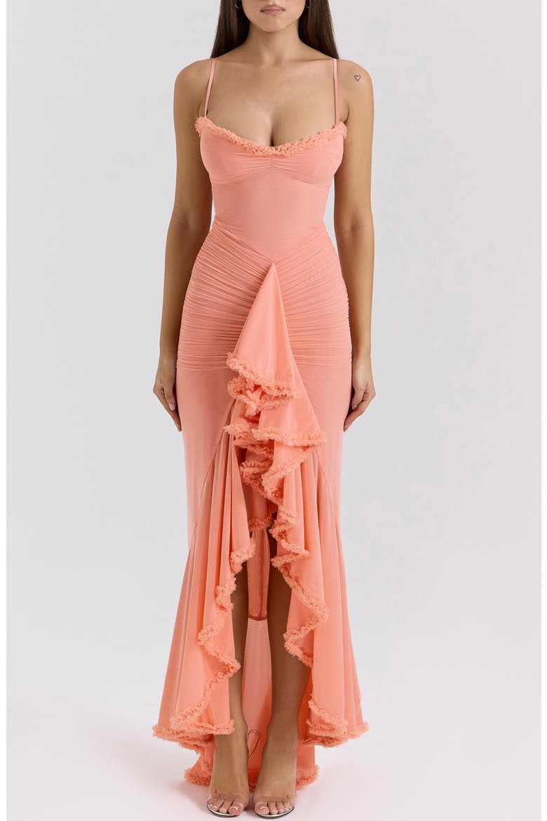 Gabbi Ruffle Mesh High-Low Cocktail Dress, Main, color, DESERT FLOWER