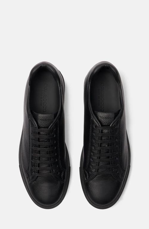 Scarosso Ugo Sneakers In Black - Deer