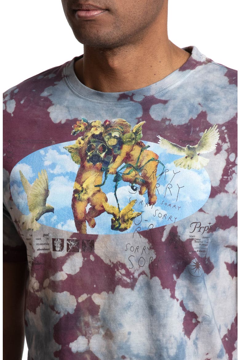 Althea Cotton Graphic Tee, Alternate, color, MULTI