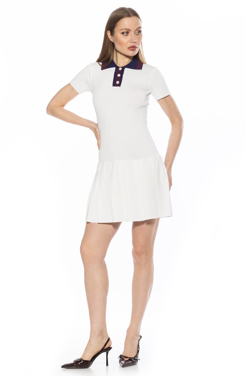 Alexia Admor Rory A-Line Polo Dress, Alternate, color, Ivory