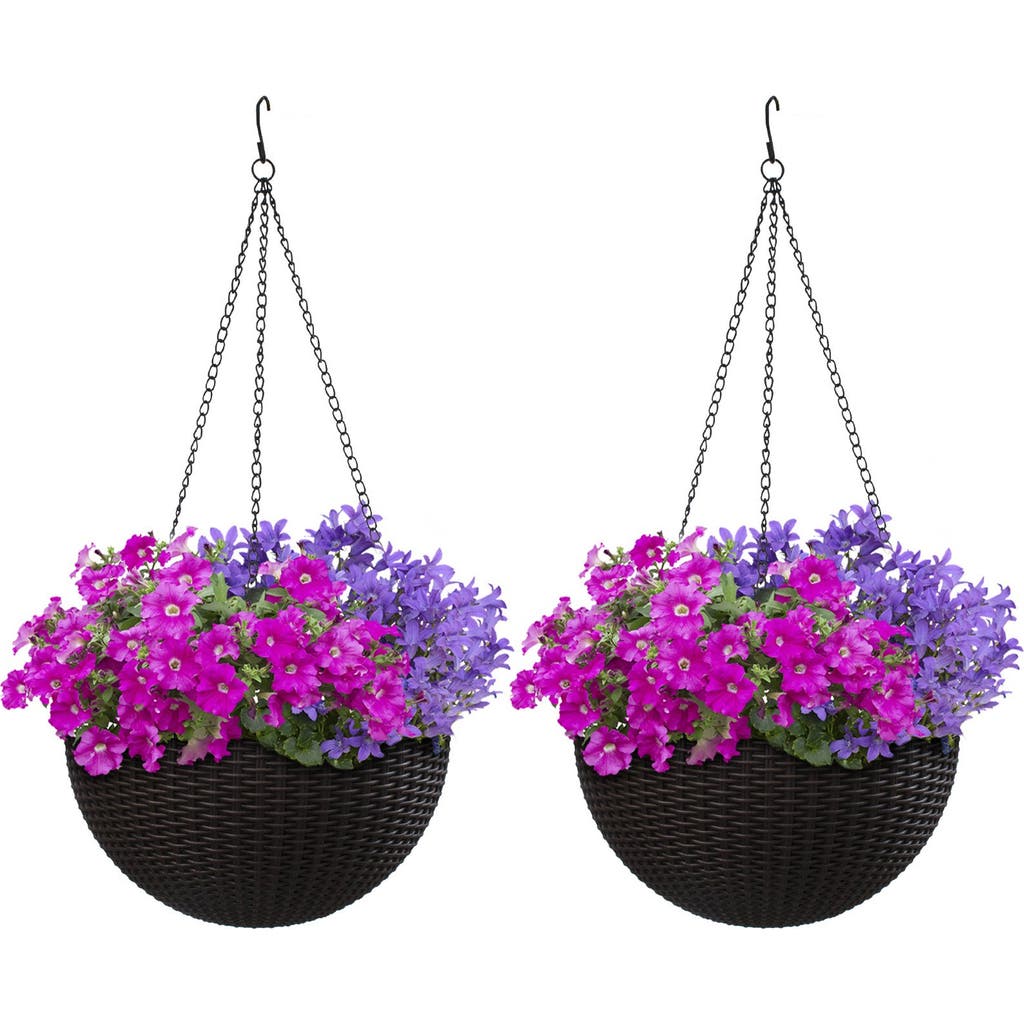Sorbus 2-pack Hanging Planters In Multi
