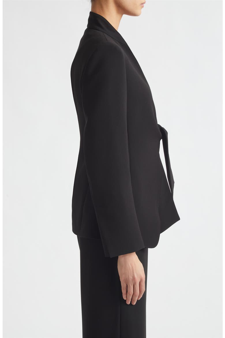 Palo Tie Front Cady Blazer, Alternate, color, BLACK