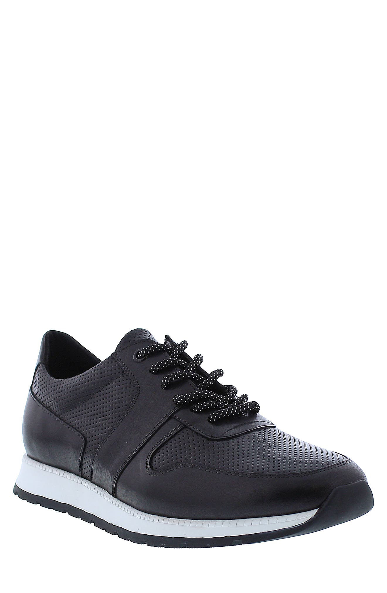 Zanzara Whitley Leather Perforated Sneaker, Main, color, 