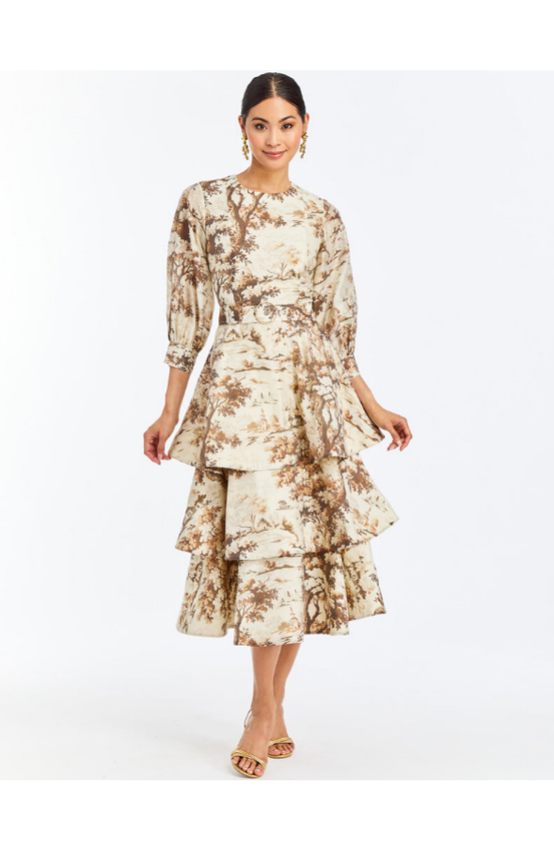 Mestiza New York Rhonda Convertible Midi Dress, Main, color, Brown