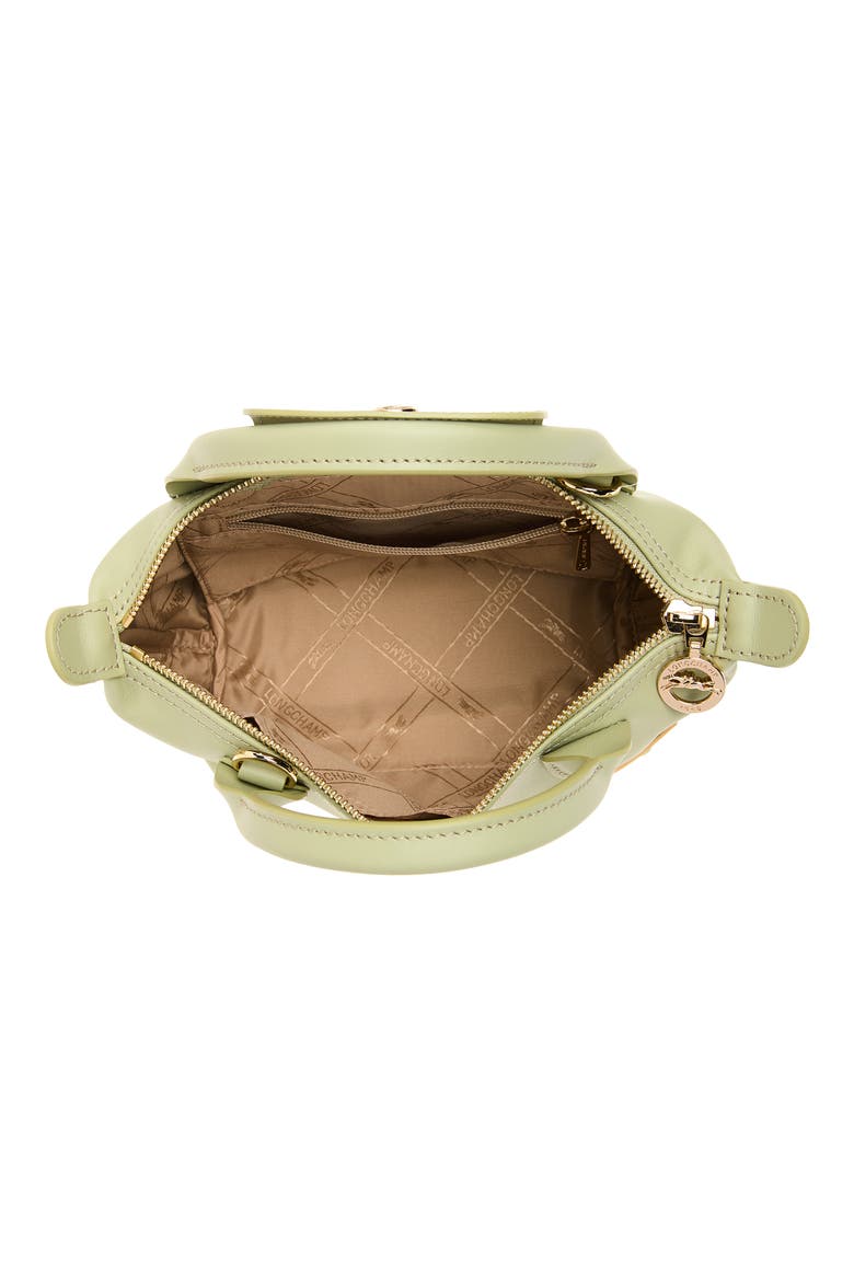 Extra Small Le Pliage Passport Xtra Handbag, Alternate, color, ALMOND GREEN