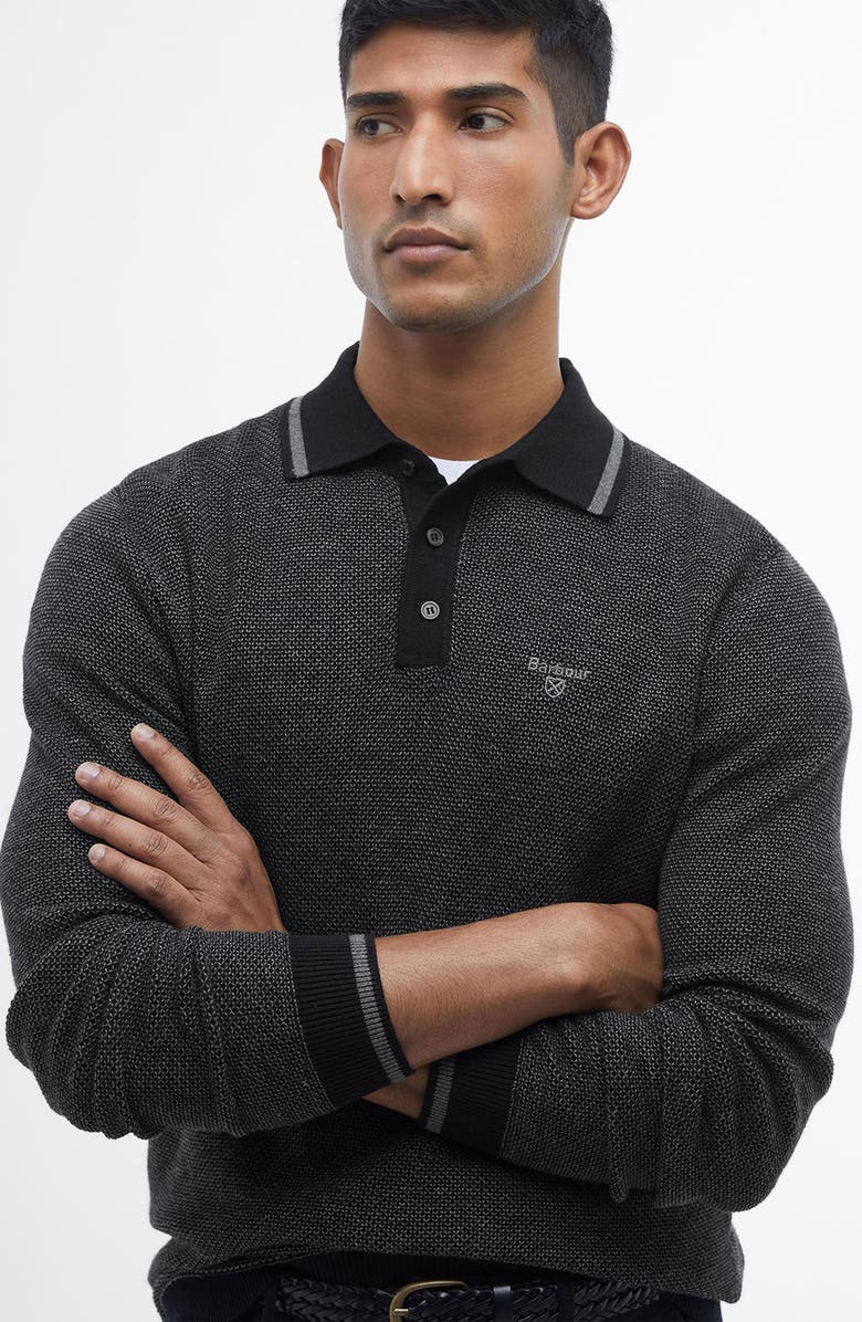 Barbour Hilden Textured Long Sleeve Cotton & Wool Polo, Alternate, color, 