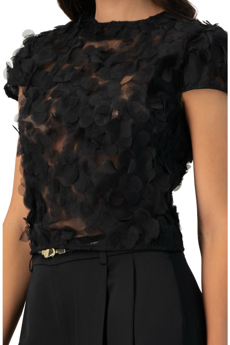 Drop Shoulder Fantasy Straight Top, Alternate, color, Black