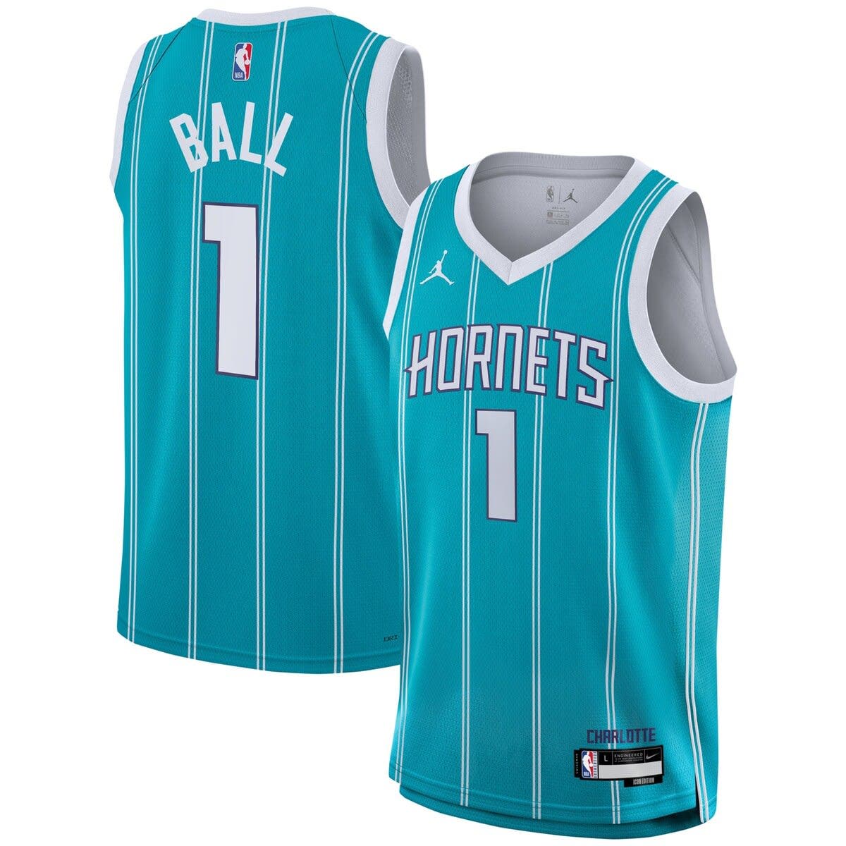 charlotte hornets swingman jersey