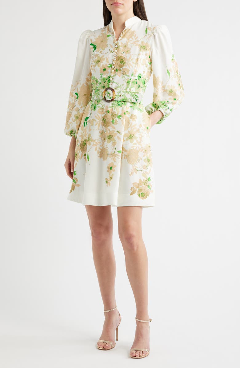 Tahari ASL Border Print Belted Long Sleeve Dress, Main, color, Ivory Fern