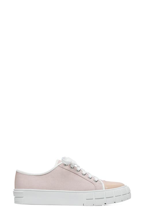 Shop Linea Paolo Kalaia Platform Sneaker In Pink/lotus