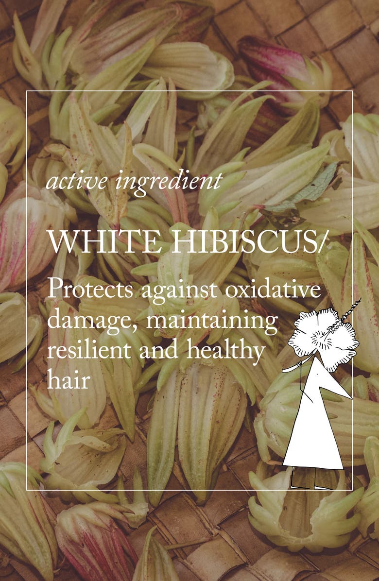 Davines Dede Shampoo, Alternate, color, 