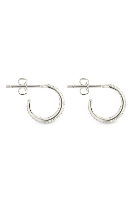 Sterling Forever Neve Micro Cubic Zirconia Hoop Earrings In Silver