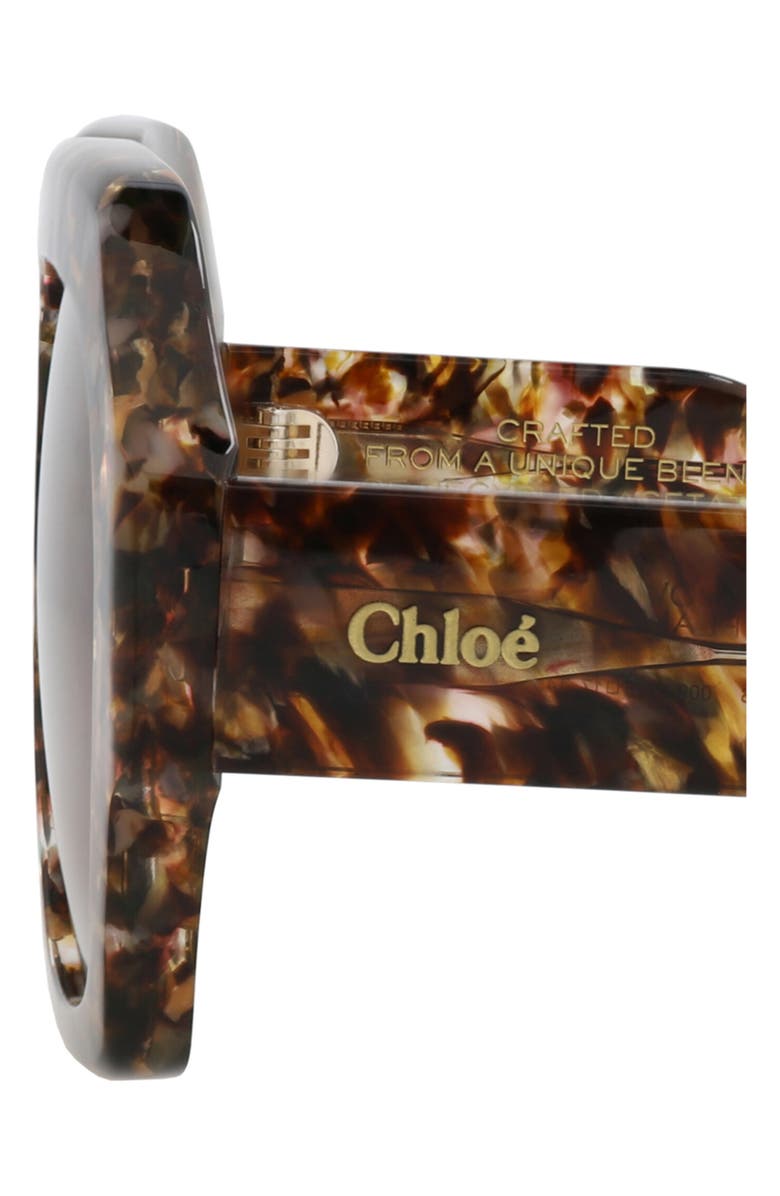 Chloé 56mm Square Sunglasses, Alternate, color, Havana Havana Brown