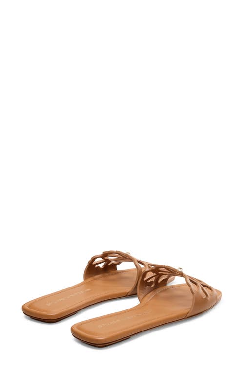 Stuart Weitzman Jasmine Cutout Slide Sandal In Brown