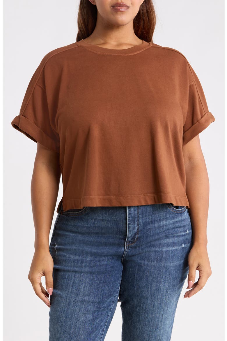 Brie Boxy Sweatshirt, Main, color, TAWNY