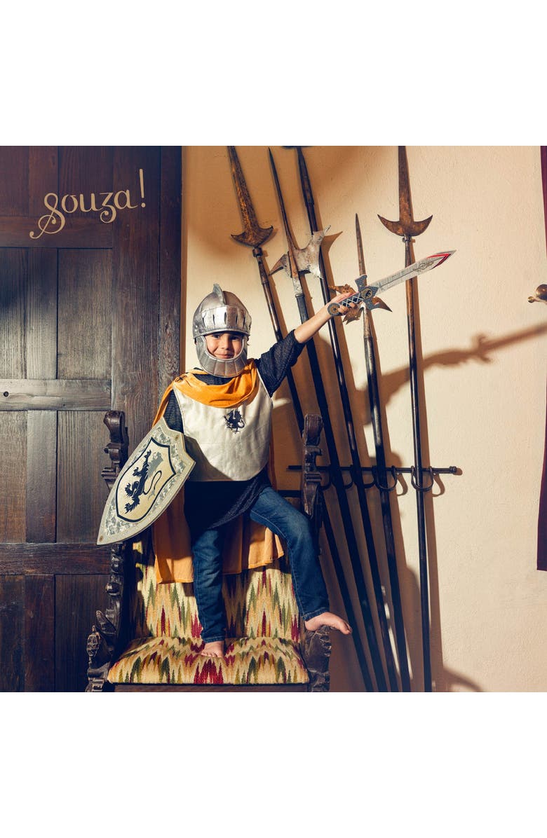 Souza Shield Raymond Costume Accessory, Alternate, color, Silver