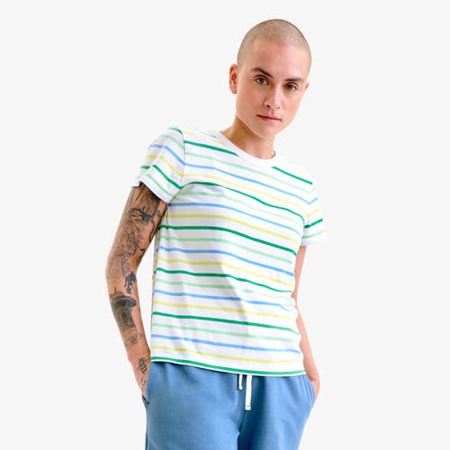 Primary Adult Classic Crewneck Multi-stripe Tee In Multi