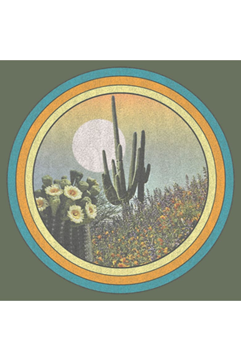 Women's Lost Gods Vintage Frame Desert  Graphic T-Shirt, Alternate, color, Sage Green