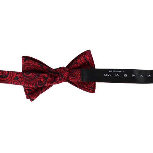 Trafalgar Sobee Paisley Silk Bow Tie