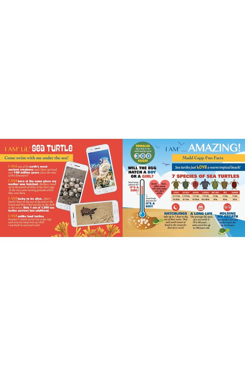 Madd Capp Lil SEA Turtle Jigsaw Puzzle, 100 Pieces, Alternate, color, Multicolored