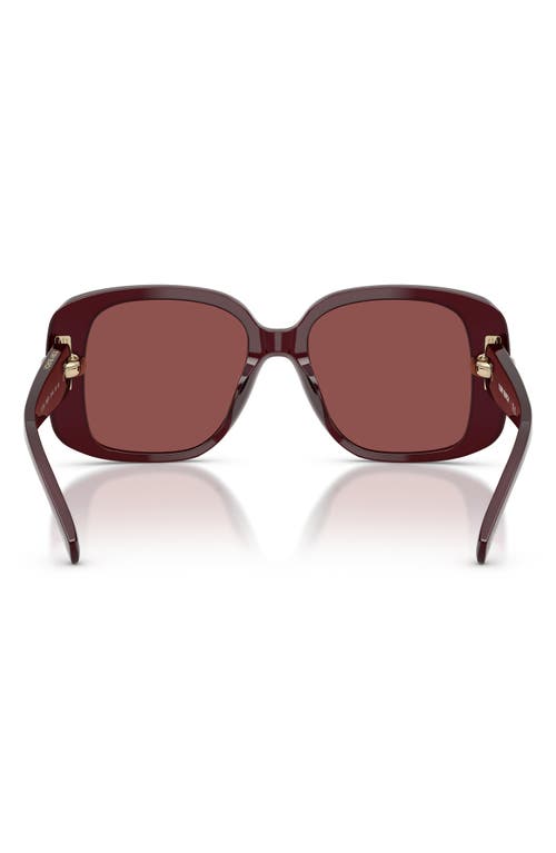 Tory Burch 53mm Gradient Square Sunglasses In Burgundy