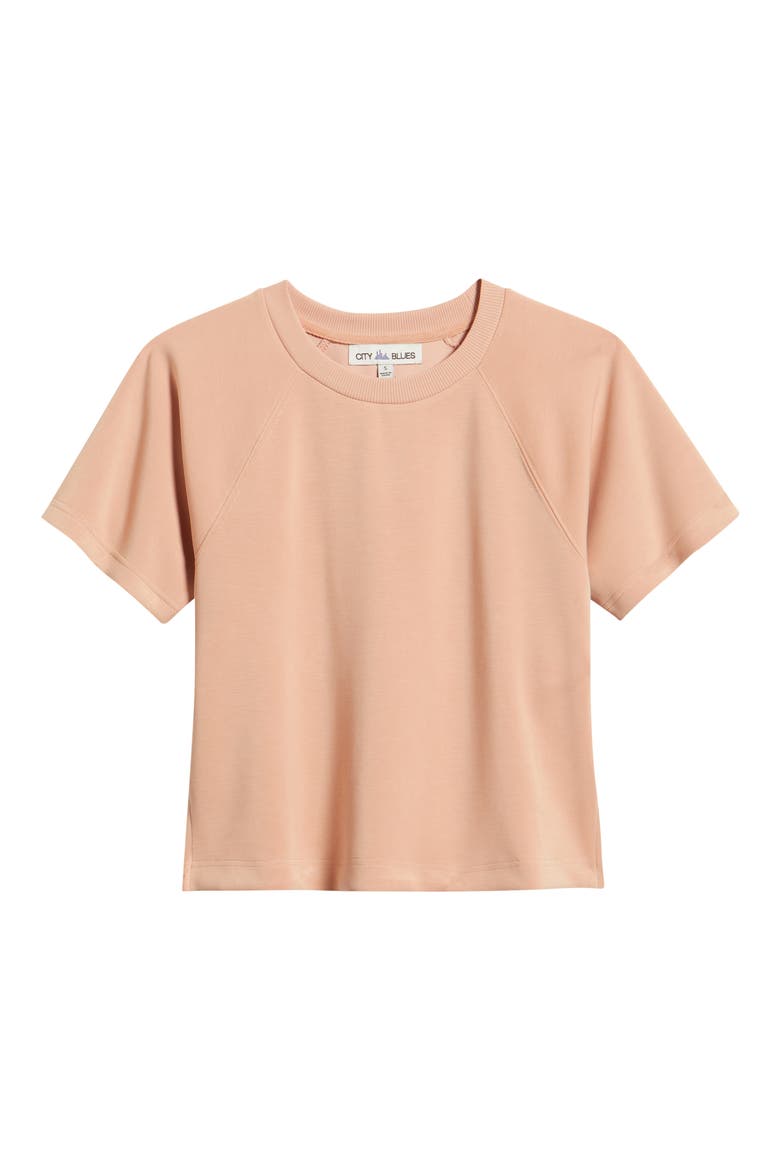Raglan Sleeve T-Shirt, Alternate, color, CONCH
