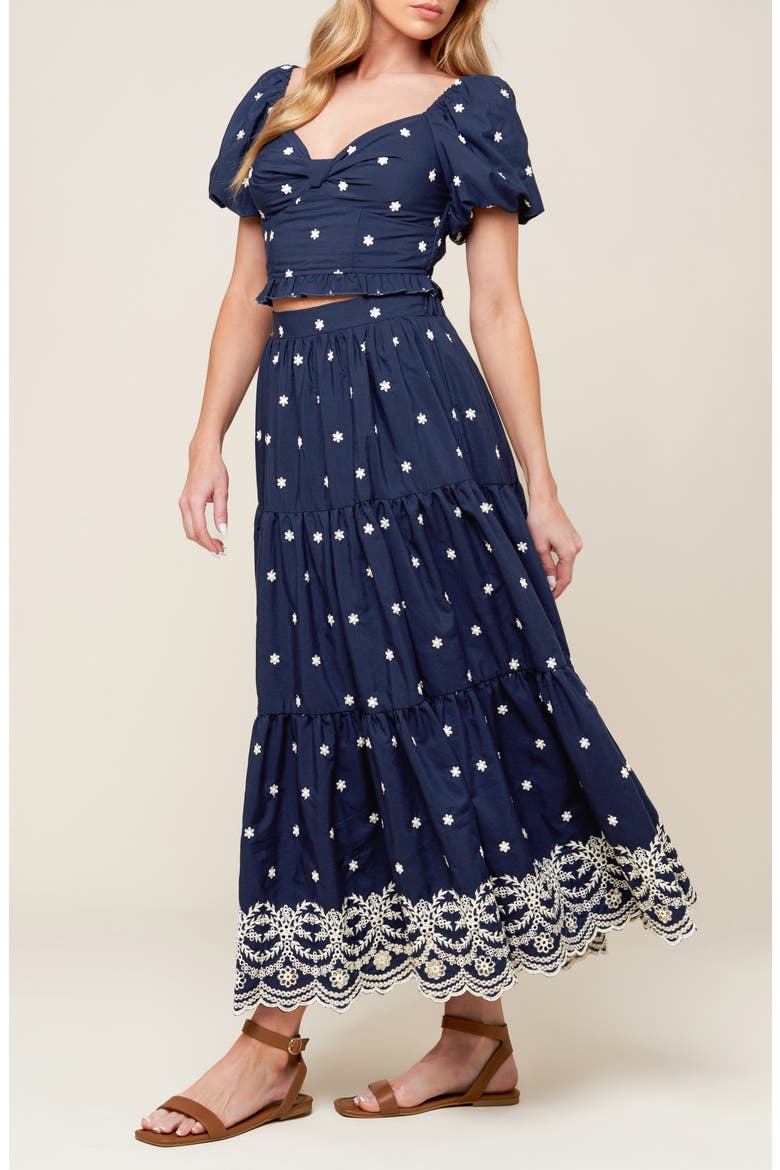 Embroidered Midi Skirt, Alternate, color, NAVY