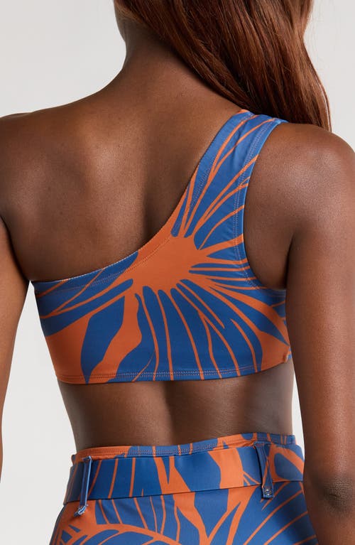 Hutch One-shoulder Bikini Top In Copper Block Print Plumeria