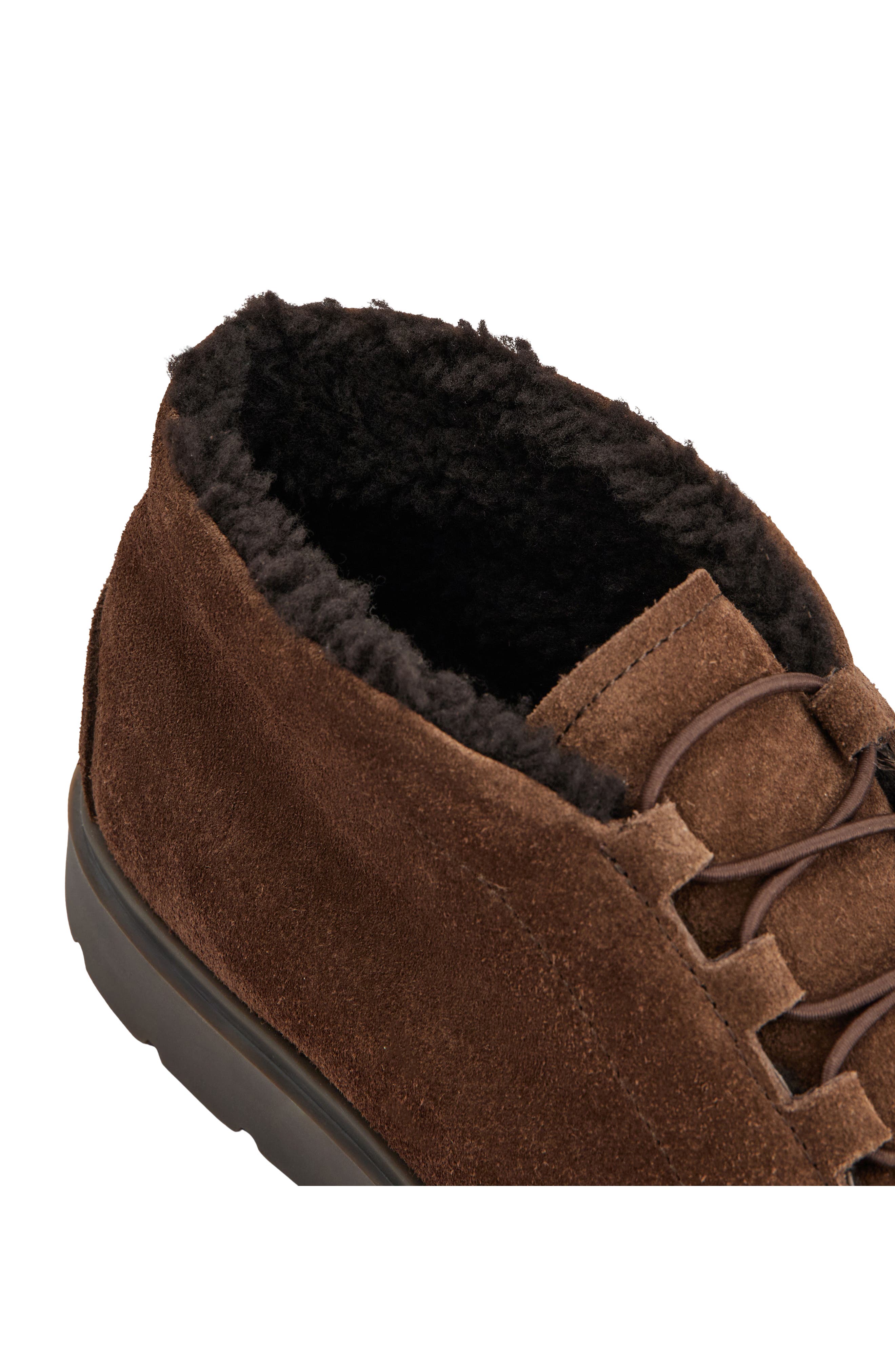 Genuine Shearling Lined Chukka Boot, Alternate, color, MARRONE AFRICA