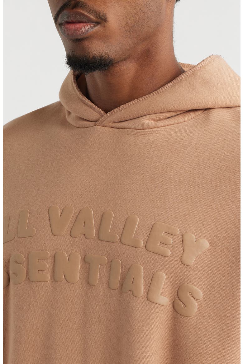 '90s Fit Fleece Logo Hoodie, Alternate, color, WASHED GINGER