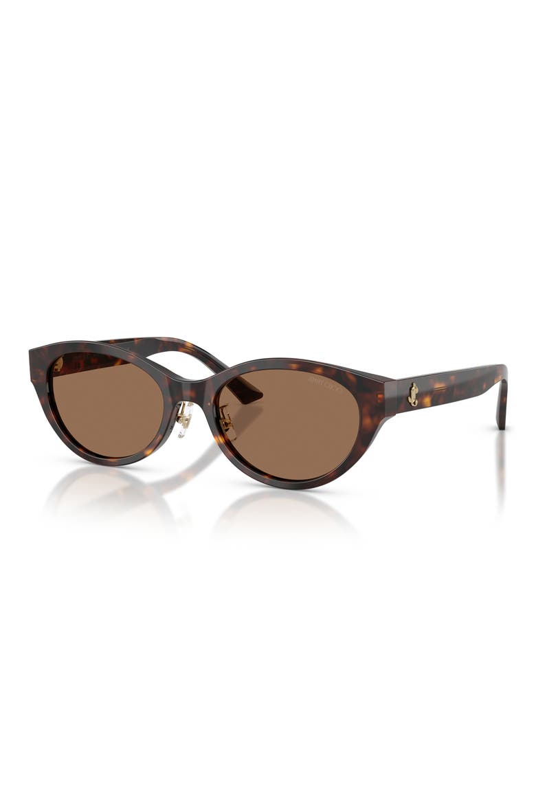 55mm Oval Sunglasses, Alternate, color, HAVANA / DARK BROWN