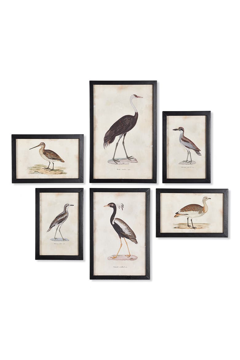 Waterfowl Gallery, Set Of 6, Main, color, Black
