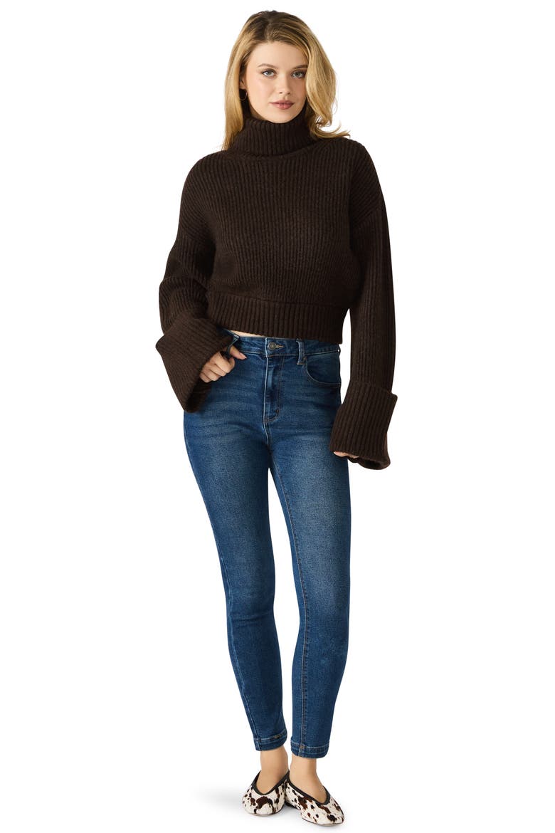 Adelade Turtleneck Sweater, Alternate, color, DARK ESPRESSO
