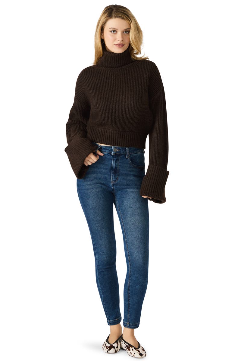 Steve Madden Adelade Turtleneck Sweater, Alternate, color, Dark Espresso