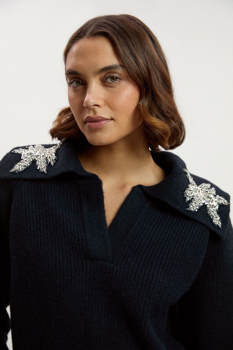 Embellished Collar V Neck Knit Sweater, Alternate, color, Navy