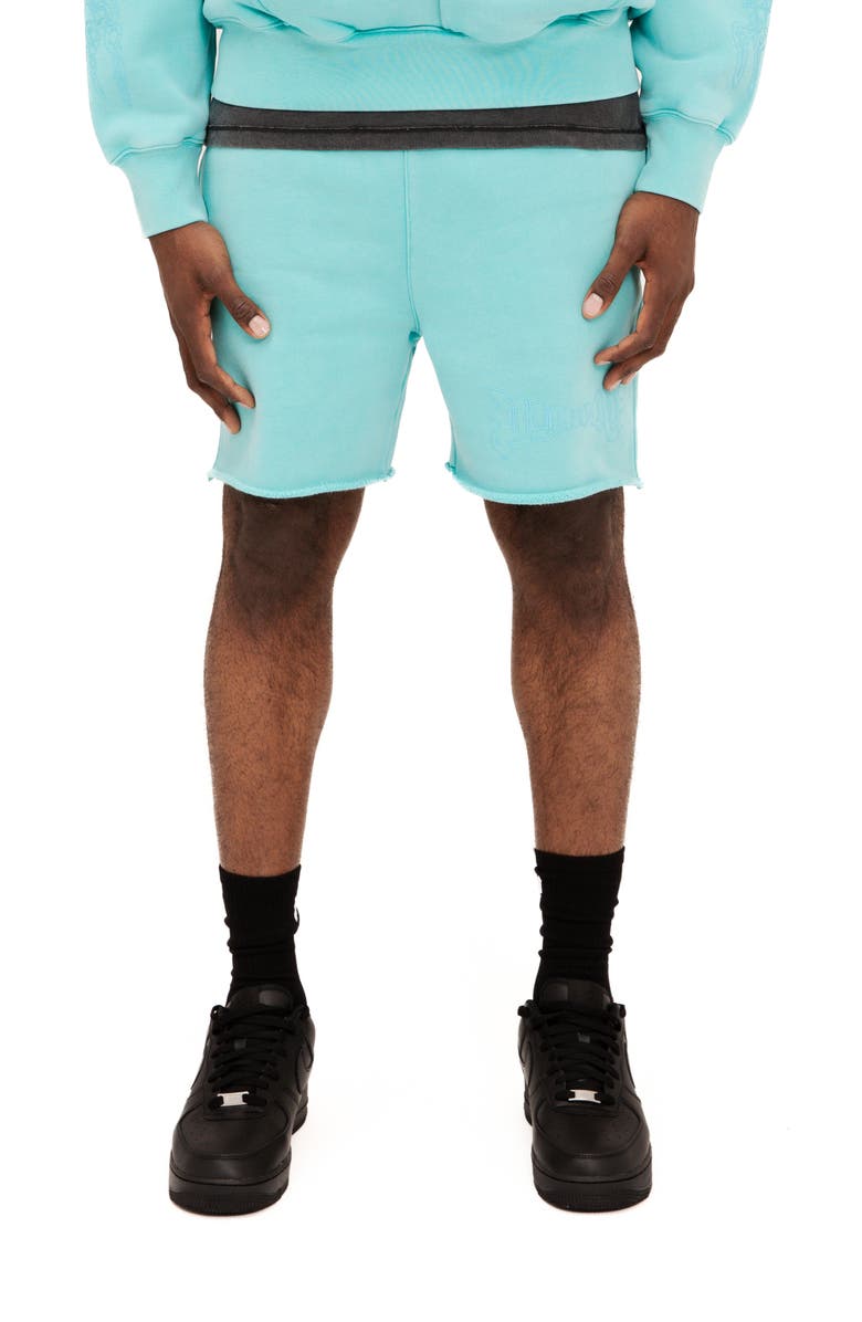 PURPLE BRAND Heavyweight Cotton Fleece Sweat Shorts, Main, color, Green