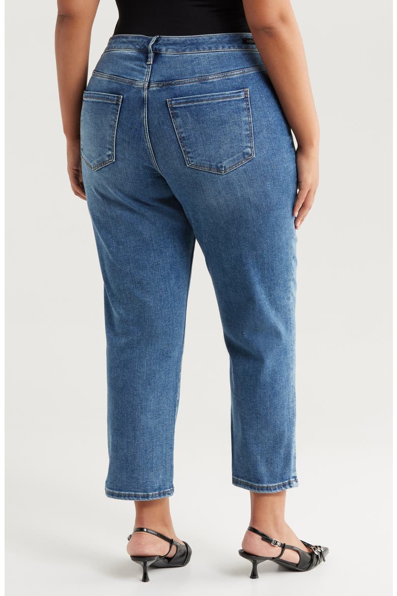 Kennedy Crop Straight Leg Jeans, Alternate, color, MCALLASTER