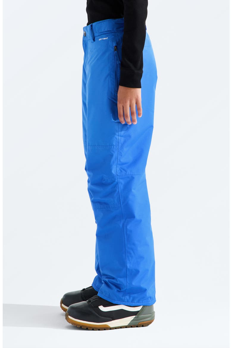 Kids' Freedom Waterproof Insulated Snow Pants, Alternate, color, ACTIVE BLUE