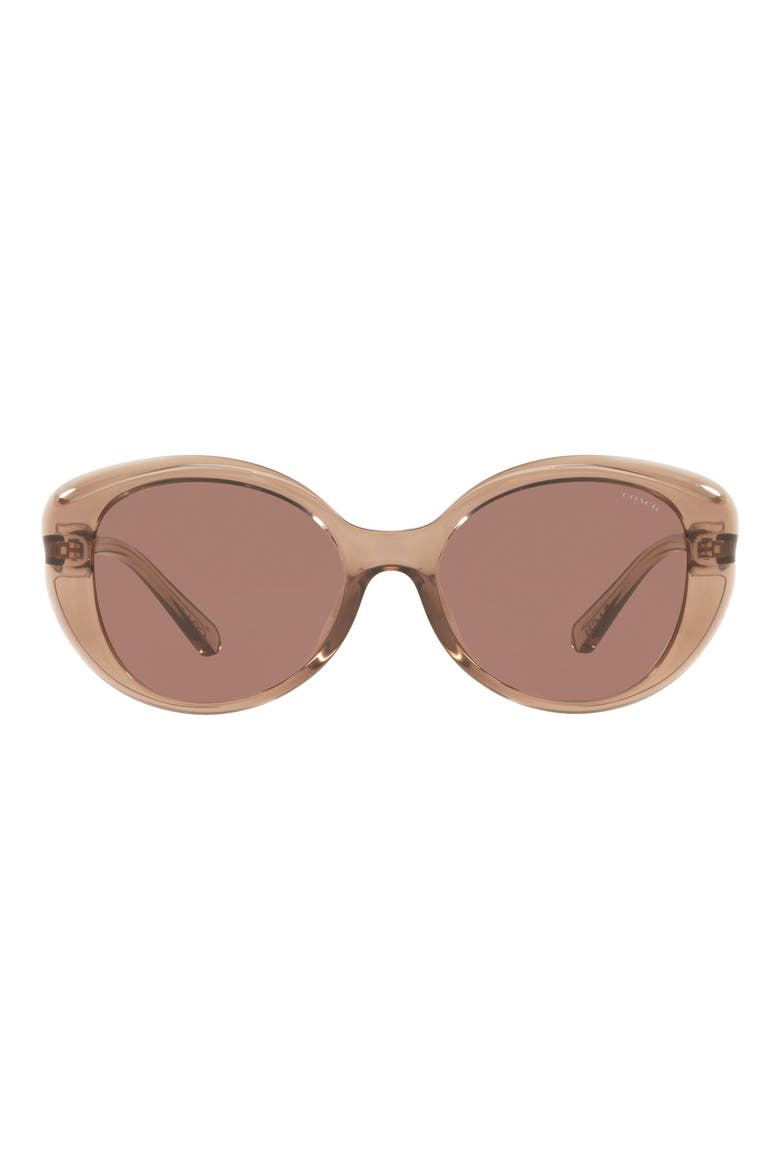 54mm Round Sunglasses, Main, color, BROWN