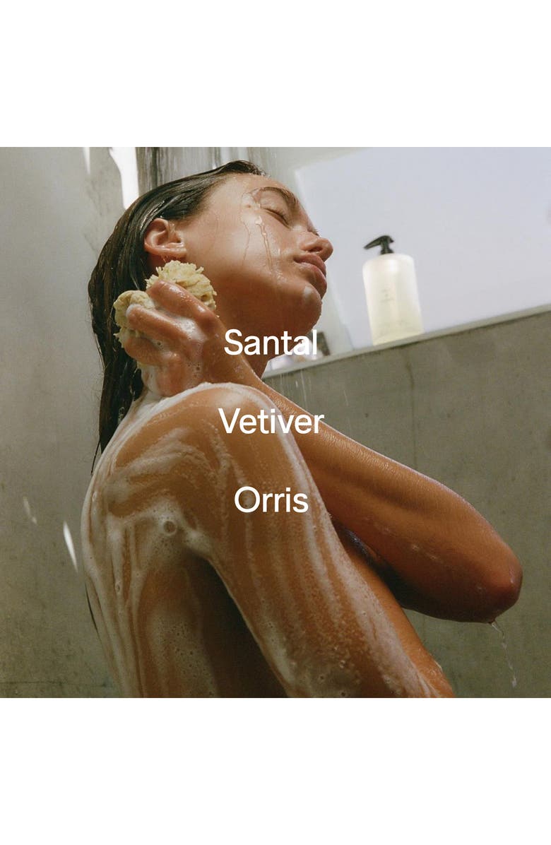 SALT & STONE Santal & Vetiver Body Wash Duo $72 Value, Alternate, color, 