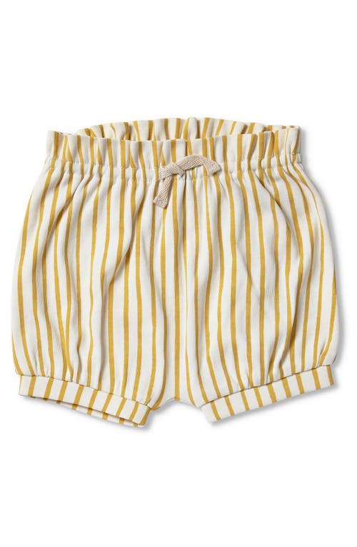 Pehr Stripes Away Bubble Shorts In Brown