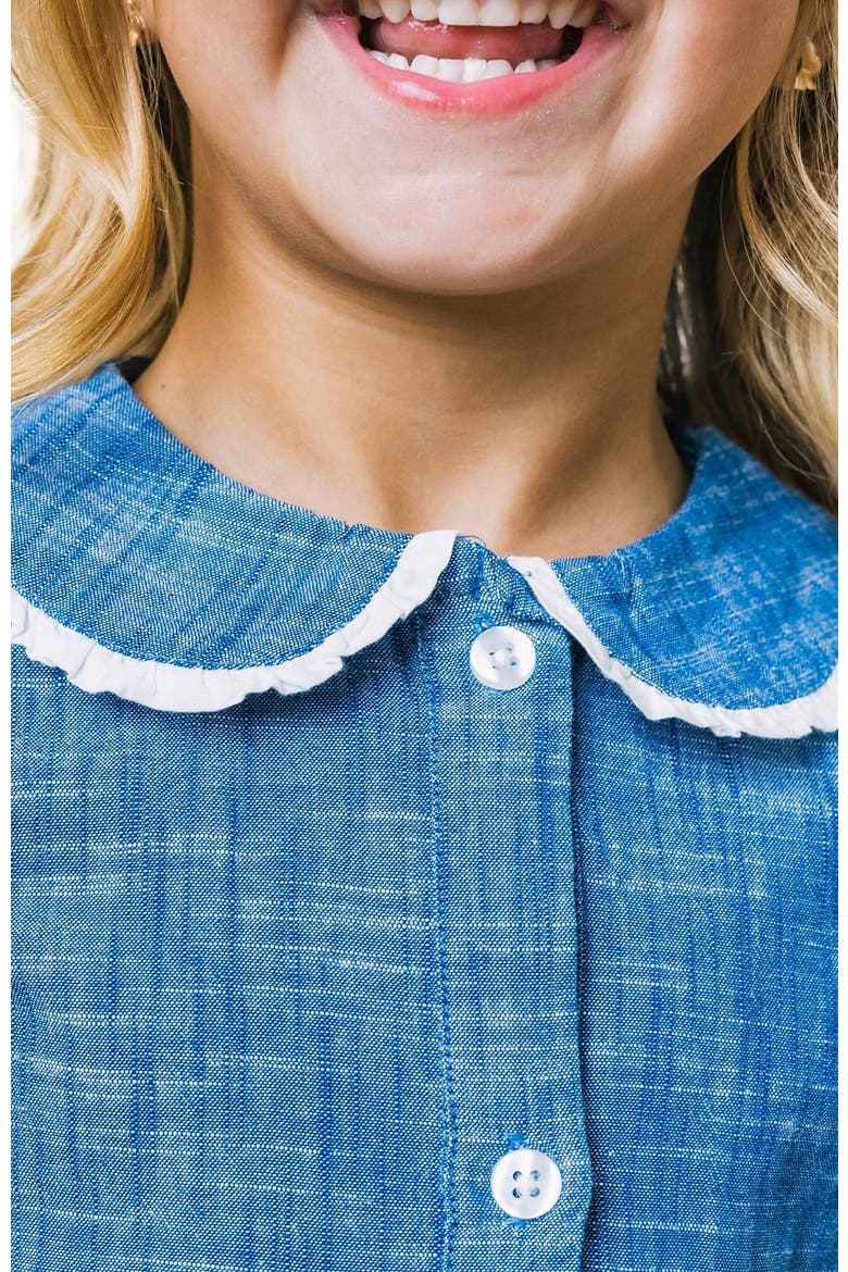 Girls' Organic Button Front Chambray Dress, Toddler, Alternate, color, Blue Chambray