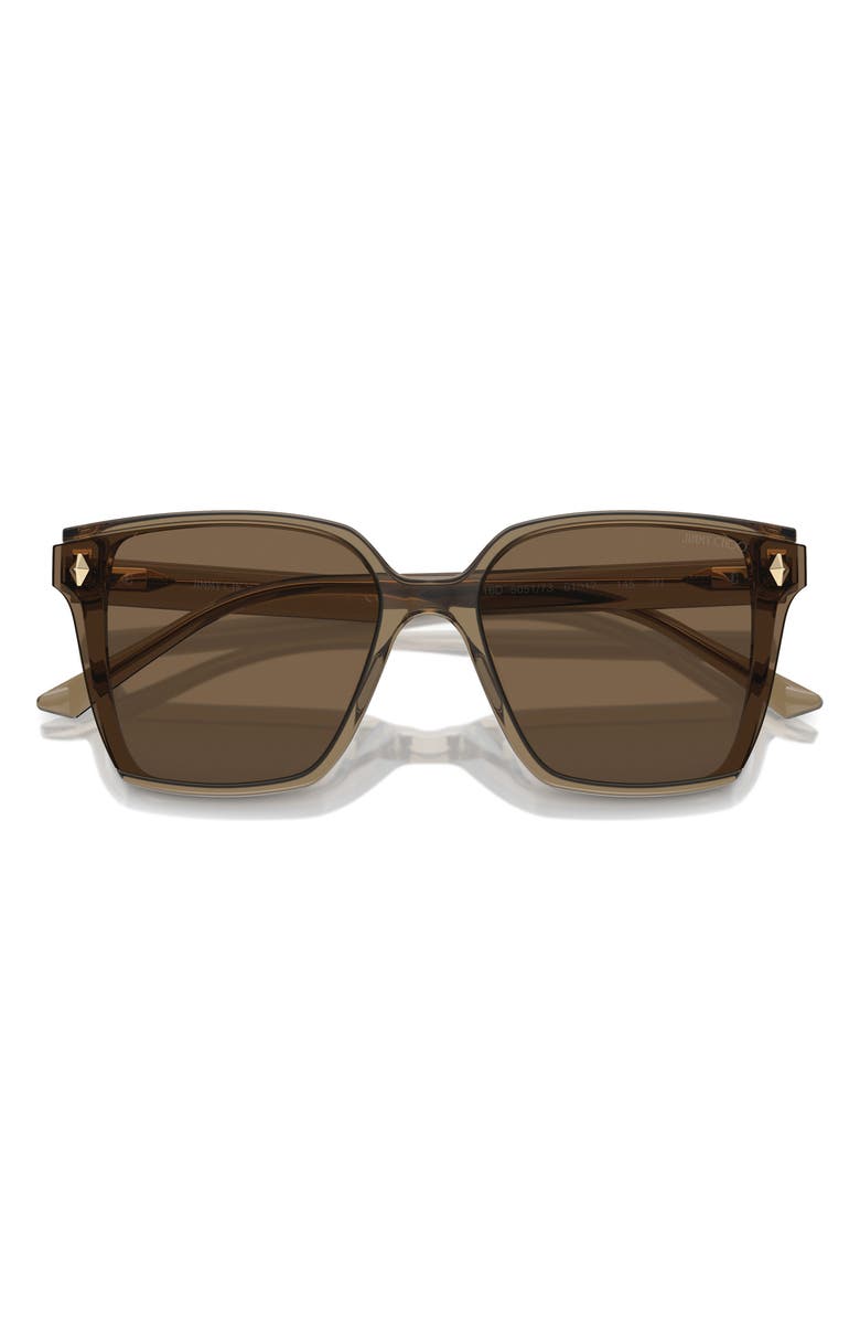Jimmy Choo 61mm Oversize Square Sunglasses, Alternate, color,
