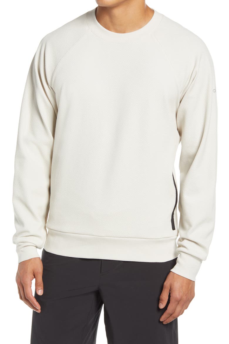Impel Raglan Sweatshirt, Main, color, BONE