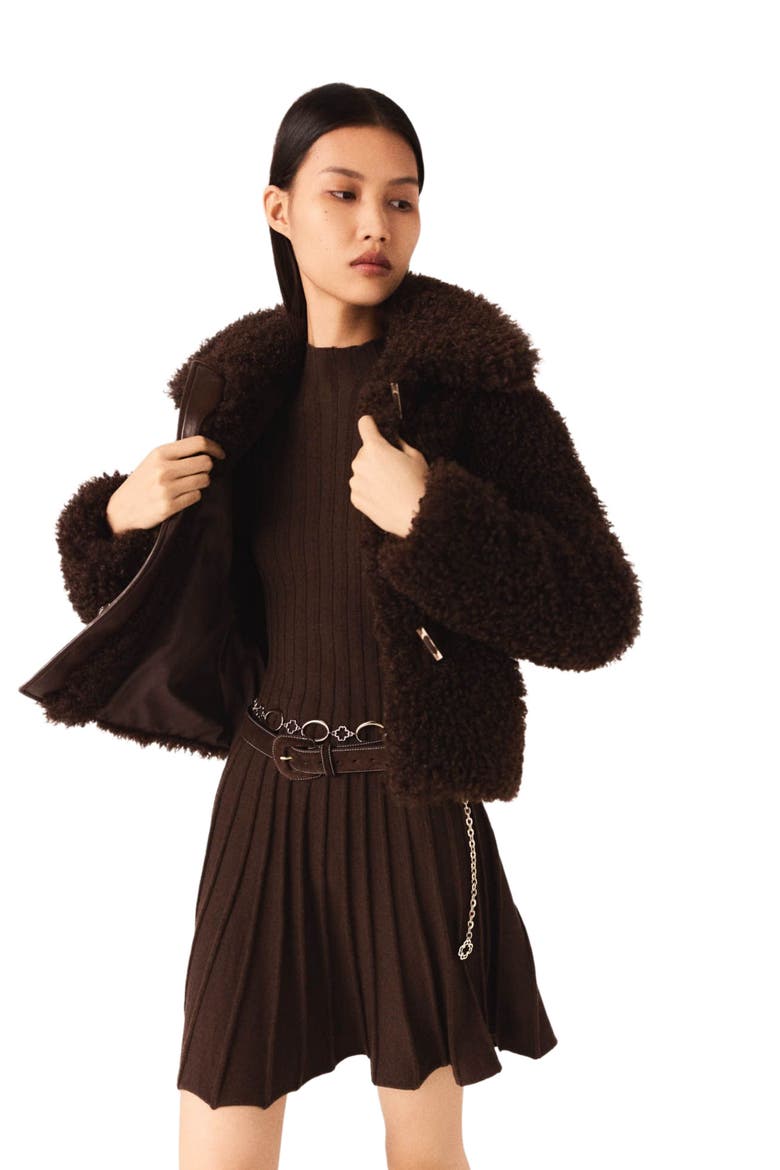 Short curly coat, Alternate, color, Dark brown