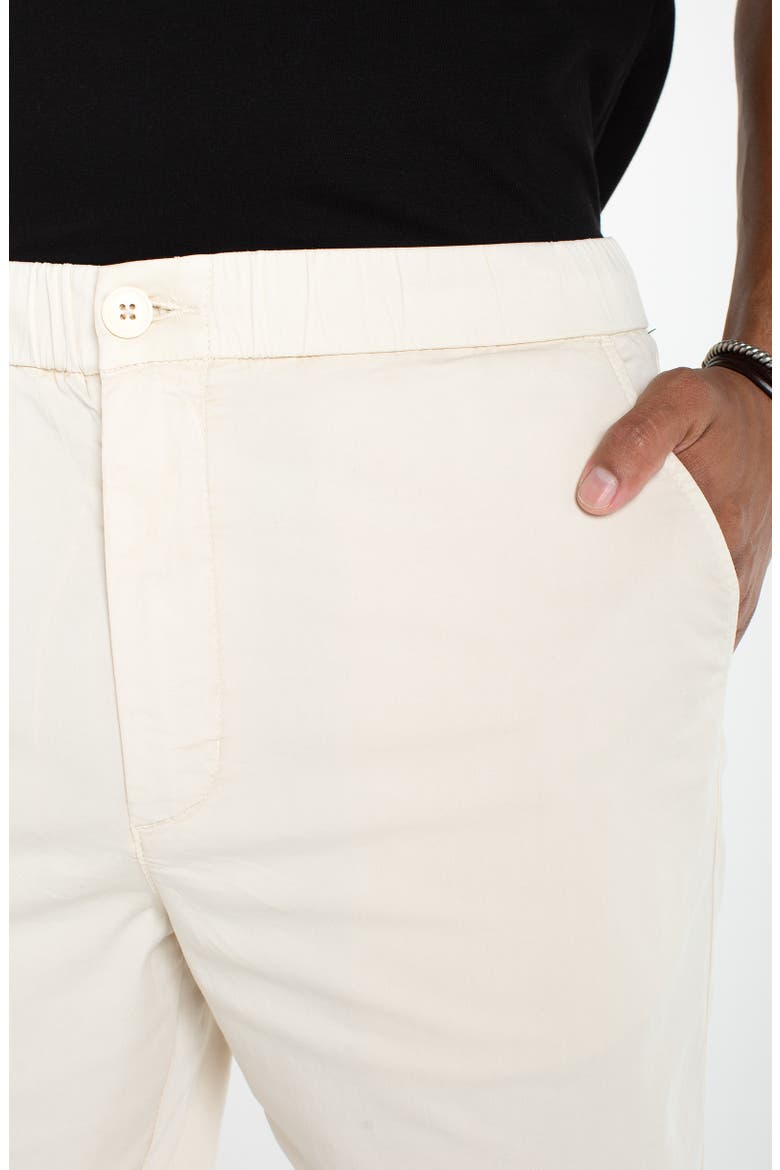 Flat Front Cotton Button & Drawstring Shorts, Alternate, color, PARCHMENT