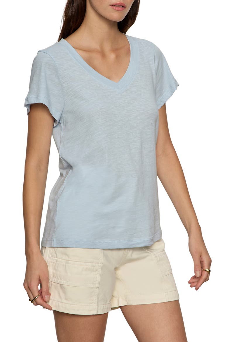 V-Neck T-Shirt, Alternate, color, BLUE AURA