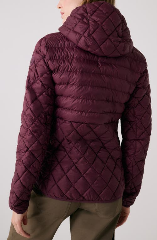 Lole The Base Packable Insulated Hooded Jacket In Burgundy
