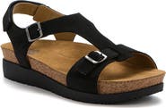 ABEO Algarve Buckle