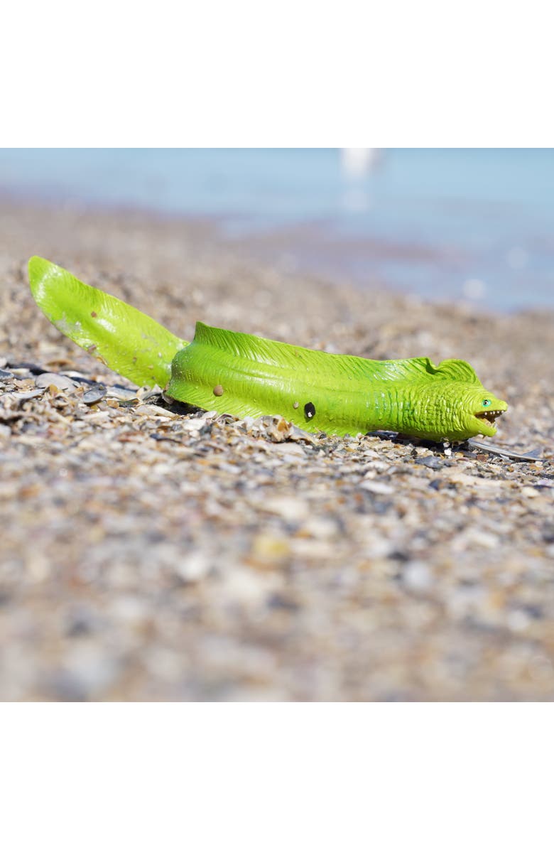 Safari Ltd. Moray Eel Toy, Alternate, color, NO COLOR